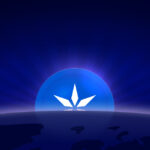 Early Access to Online+ Is Live for Creators and Partners